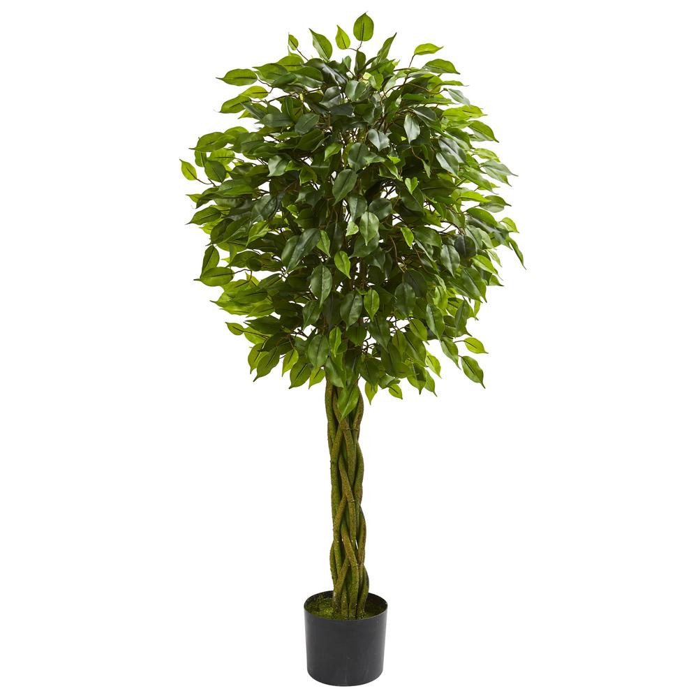 Best ideas about Outdoor Ficus Tree
. Save or Pin National Tree pany 60 in Cedar Spiral Artificial Tree Now.