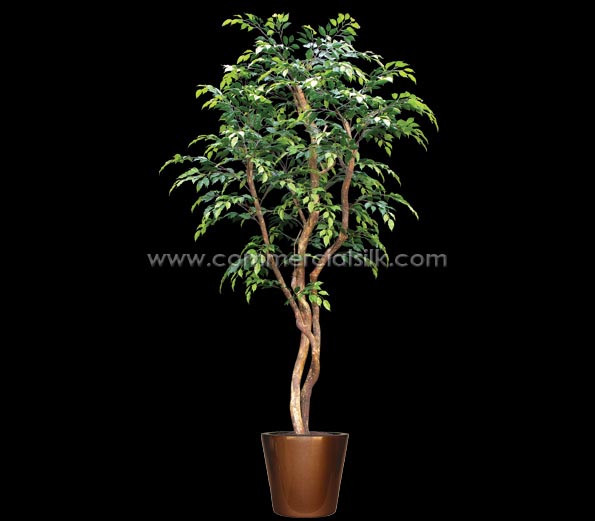 Best ideas about Outdoor Ficus Tree
. Save or Pin Outdoor Artificial Ficus Benjamina Trees Now.