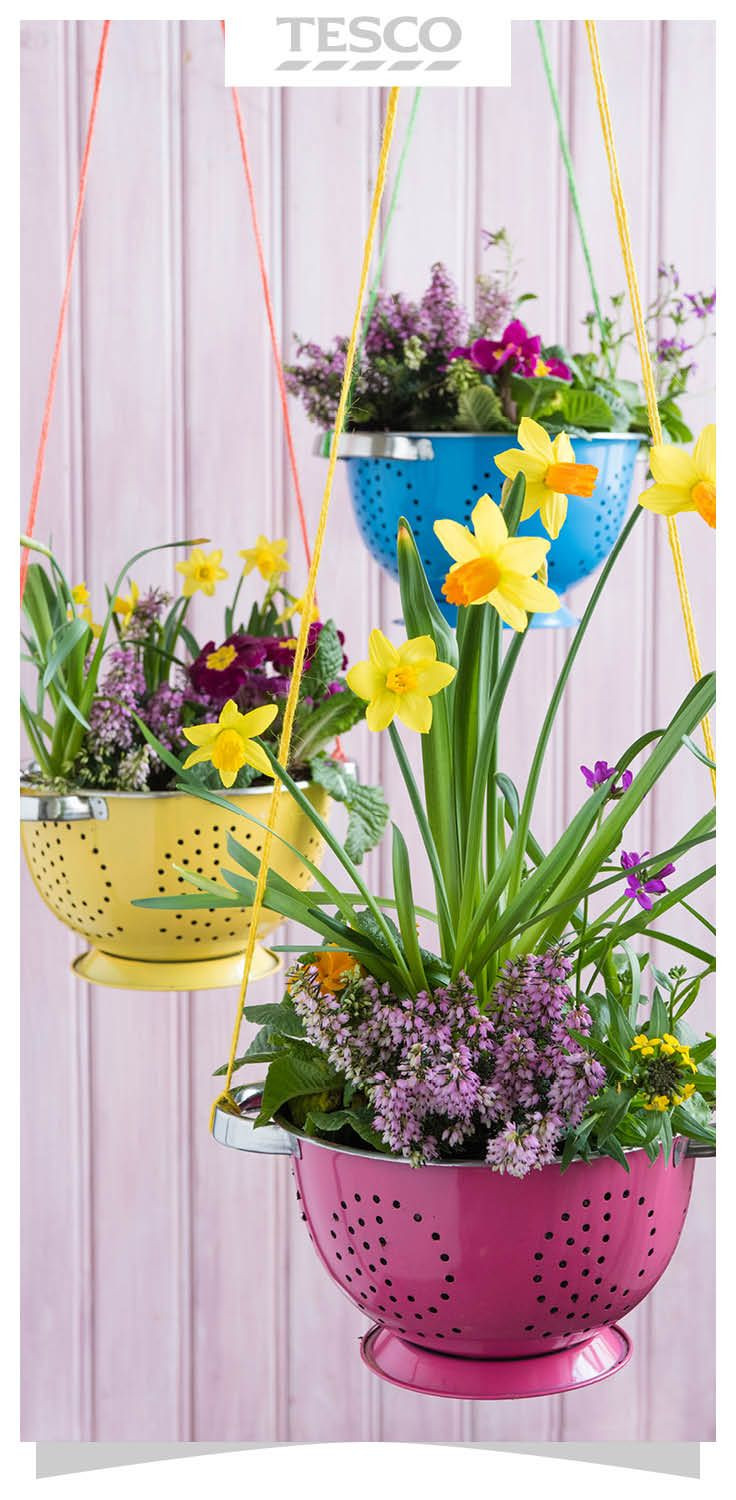 Best ideas about Outdoor Hanging Planters
. Save or Pin 1000 ideas about Hanging Flower Baskets on Pinterest Now.