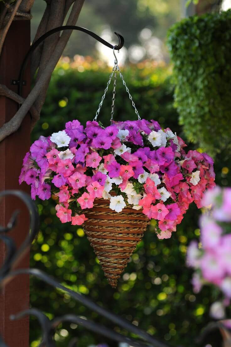 Best ideas about Outdoor Hanging Planters
. Save or Pin 45 Best Outdoor Hanging Planter Ideas and Designs for 2017 Now.