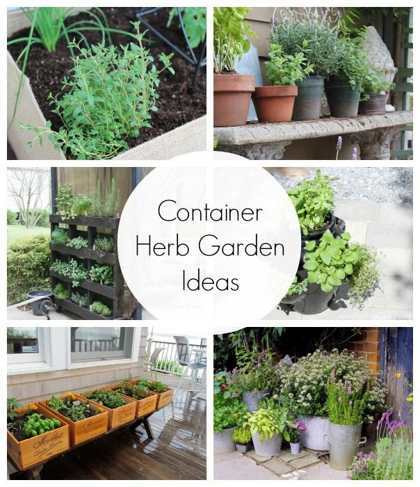 Best ideas about Outdoor Herb Garden Ideas
. Save or Pin Container Herb Garden Ideas Now.