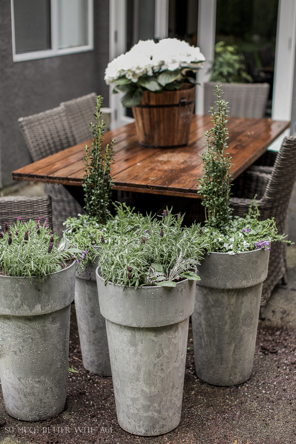 Best ideas about Outdoor Large Planters
. Save or Pin The Best Tip for Filling Outdoor Planters Now.