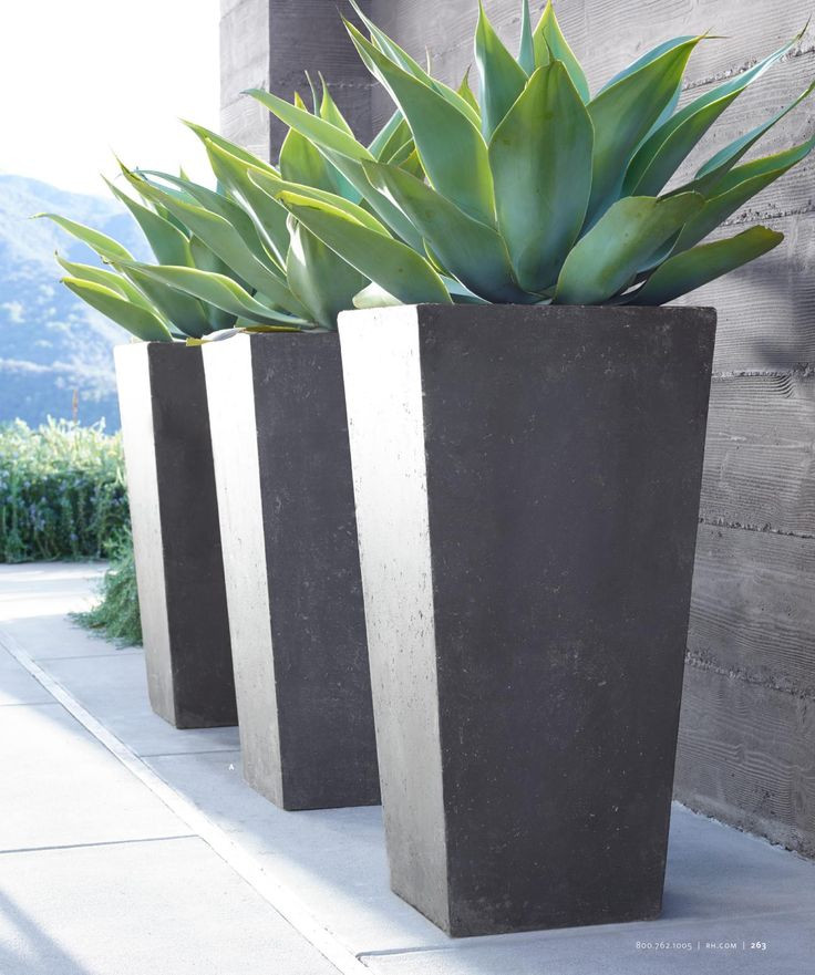 Best ideas about Outdoor Large Planters
. Save or Pin Best 25 outdoor planters ideas on Pinterest Now.