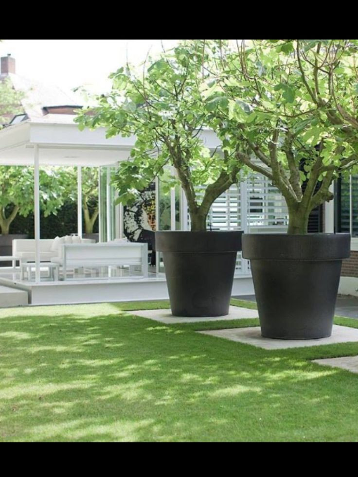 Best ideas about Outdoor Large Planters
. Save or Pin Best 25 garden pots ideas on Pinterest Now.