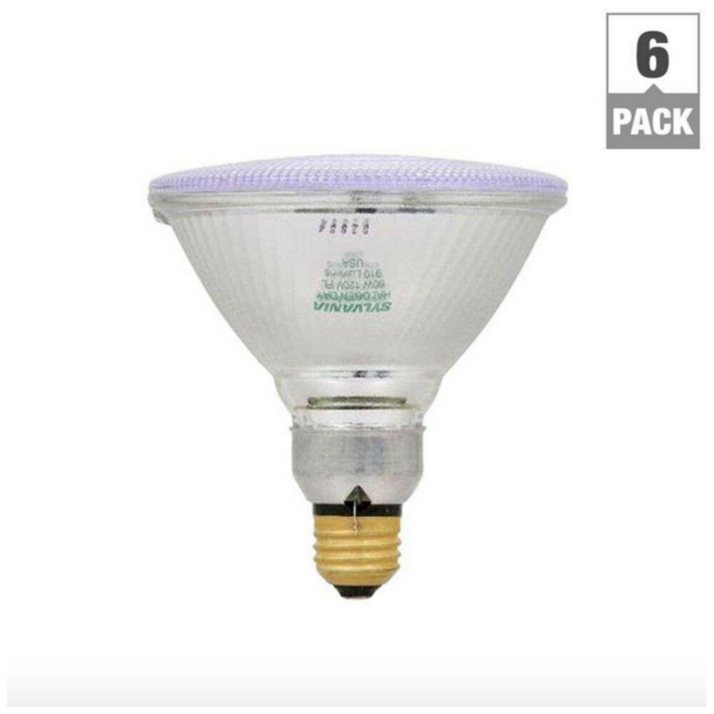 Best ideas about Outdoor Light Bulbs
. Save or Pin 60 Watt Halogen Flood Spot Light Bulb 6 Pack Bulbs Par38 Now.