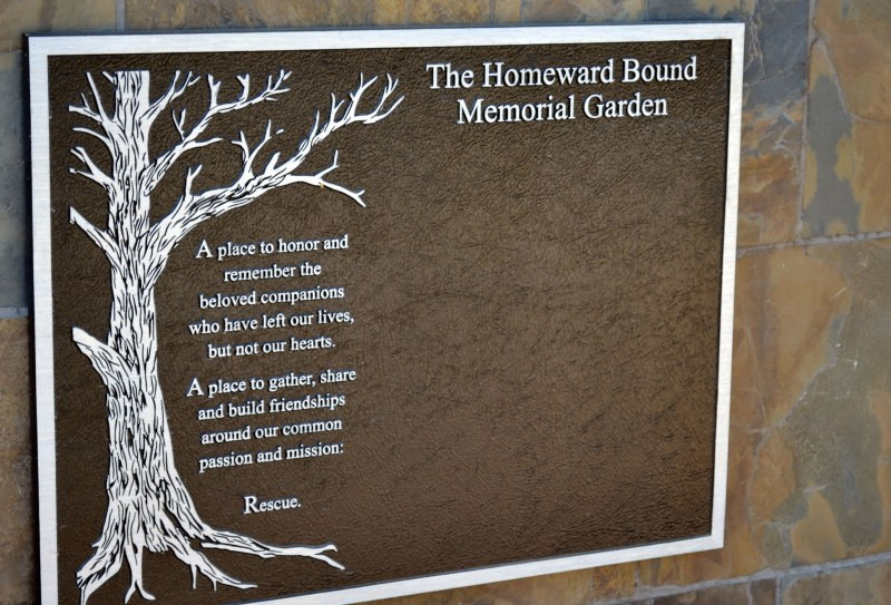 Best ideas about Outdoor Memorial Plaques
. Save or Pin Evening Light Now.