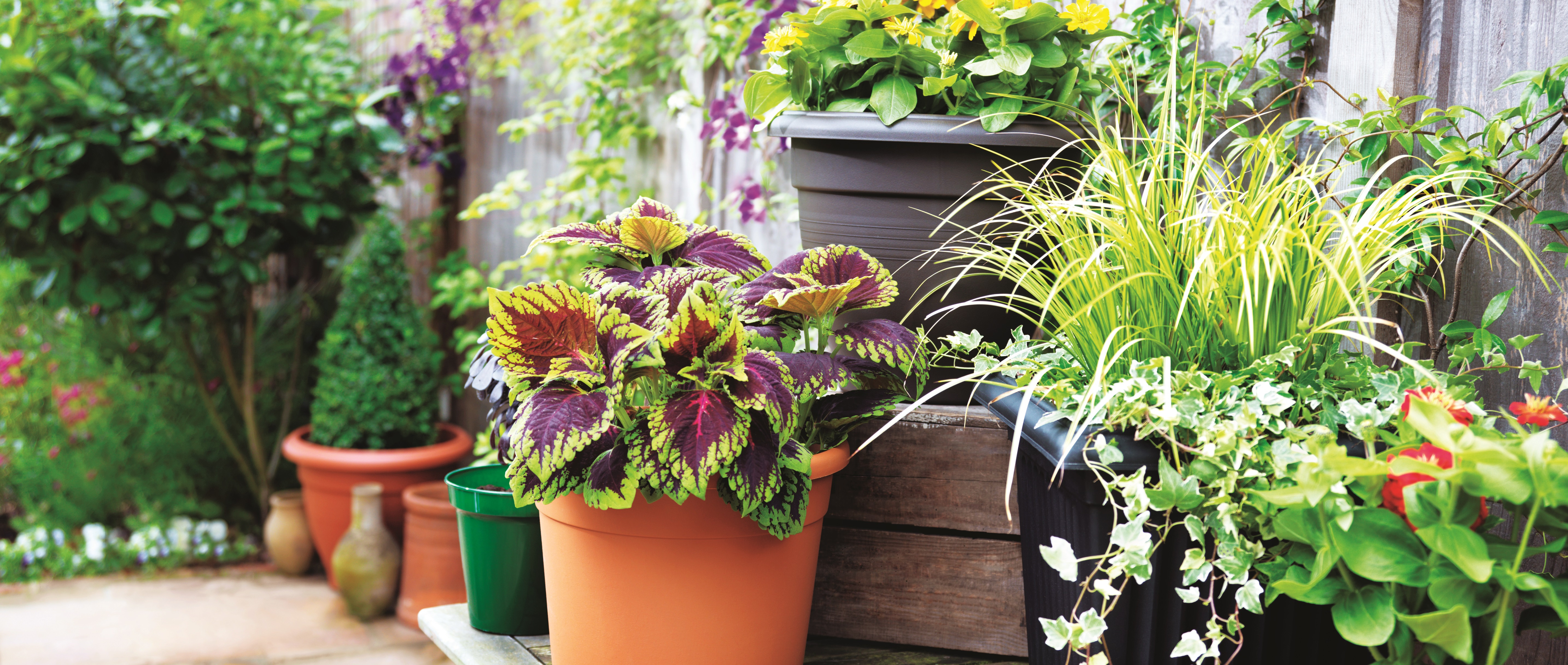 Best ideas about Outdoor Pots And Planters
. Save or Pin Great value pots planters and baskets at Parker s Garden Now.
