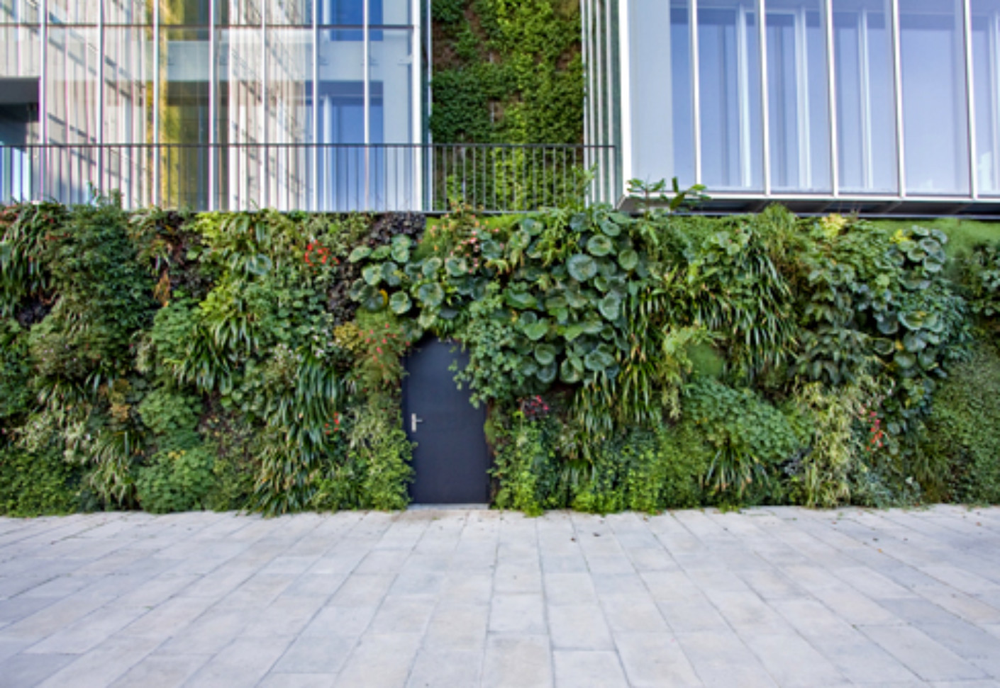 Best ideas about Outdoor Vertical Garden
. Save or Pin Outdoor Wall Natura Towers by Vertical Garden Design Now.