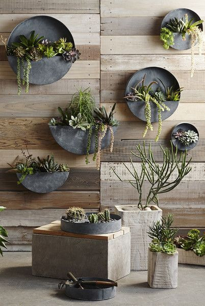Best ideas about Outdoor Wall Planter
. Save or Pin 25 best ideas about Wall Planters on Pinterest Now.