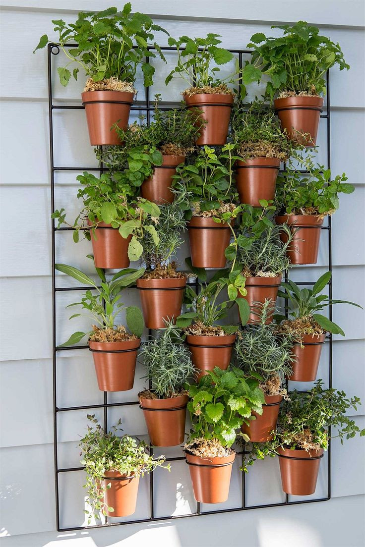 Best ideas about Outdoor Wall Planter
. Save or Pin Garden & Outdoor Wall Pot Planter BIG W Now.