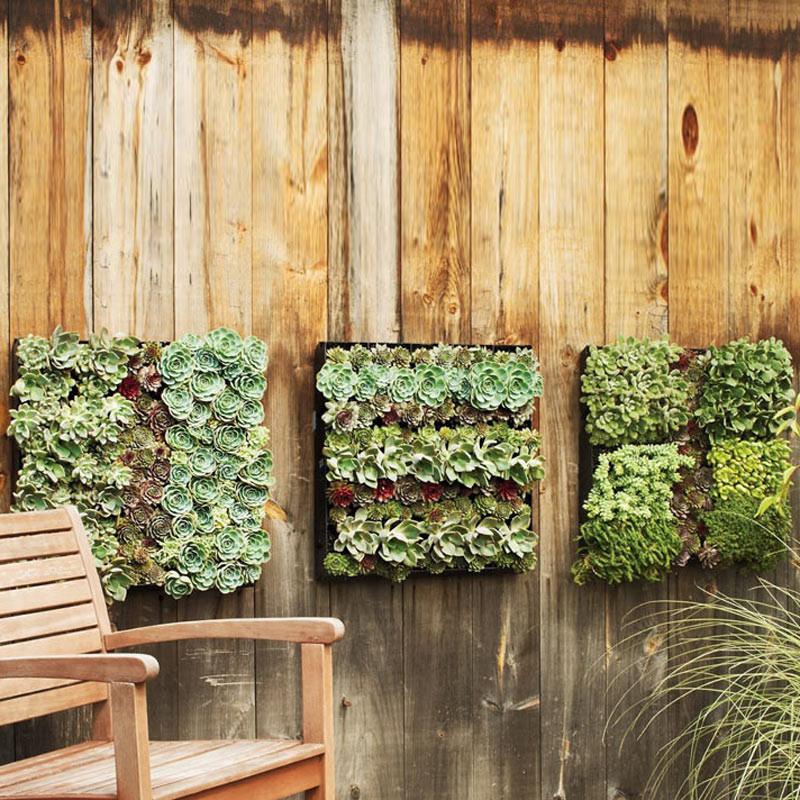 Best ideas about Outdoor Wall Planter
. Save or Pin Outdoor Living Wall Planters Now.