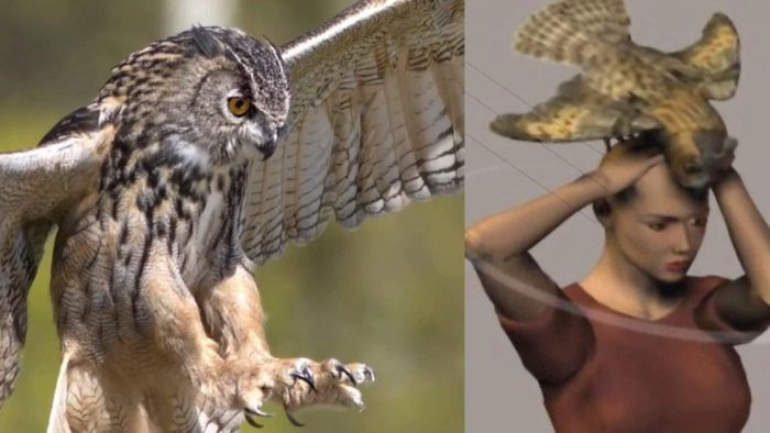 Best ideas about Owl Theory Staircase
. Save or Pin You’ve Got to Watch This Netflix Documentary Where an Owl Now.