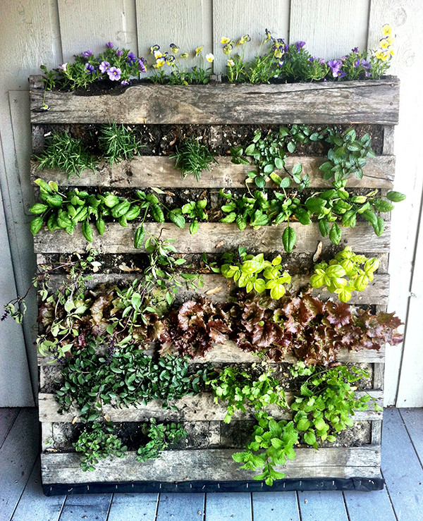 Best ideas about Palette Vertical Garden
. Save or Pin Home Gardening in Unusual Spaces Now.