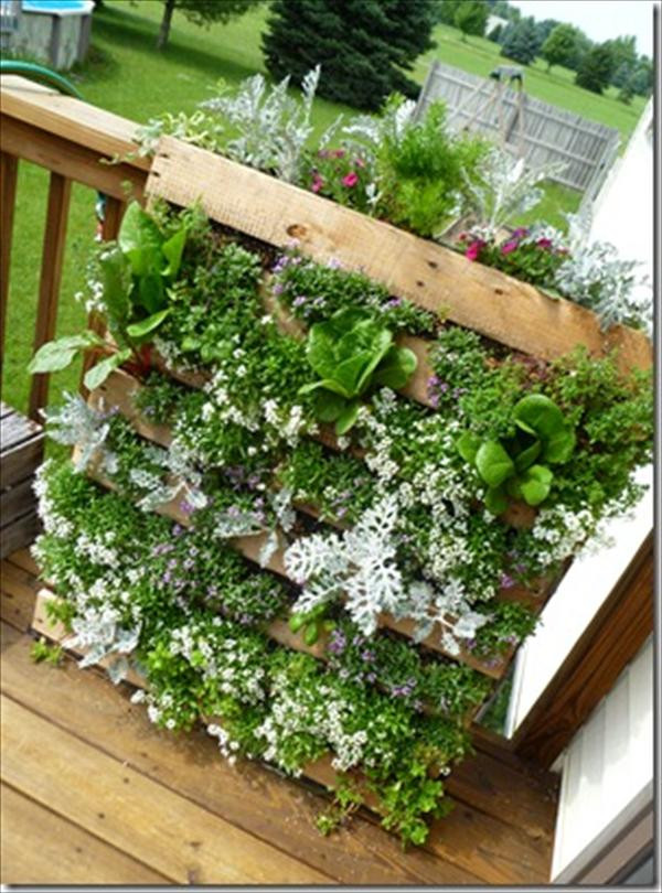 Best ideas about Palette Vertical Garden
. Save or Pin DIY Vertical Pallet Garden Now.