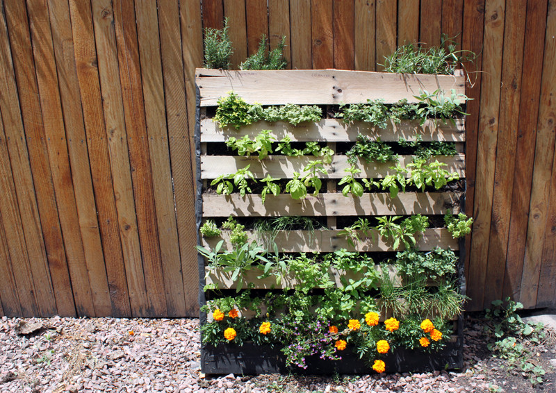 Best ideas about Palette Vertical Garden
. Save or Pin DIY Inspiration The Vertical Herb Garden Now.