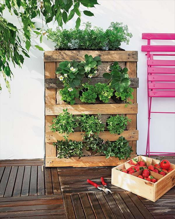 Best ideas about Palette Vertical Garden
. Save or Pin 10 Wood Pallet Vertical Garden on Your Wall Now.