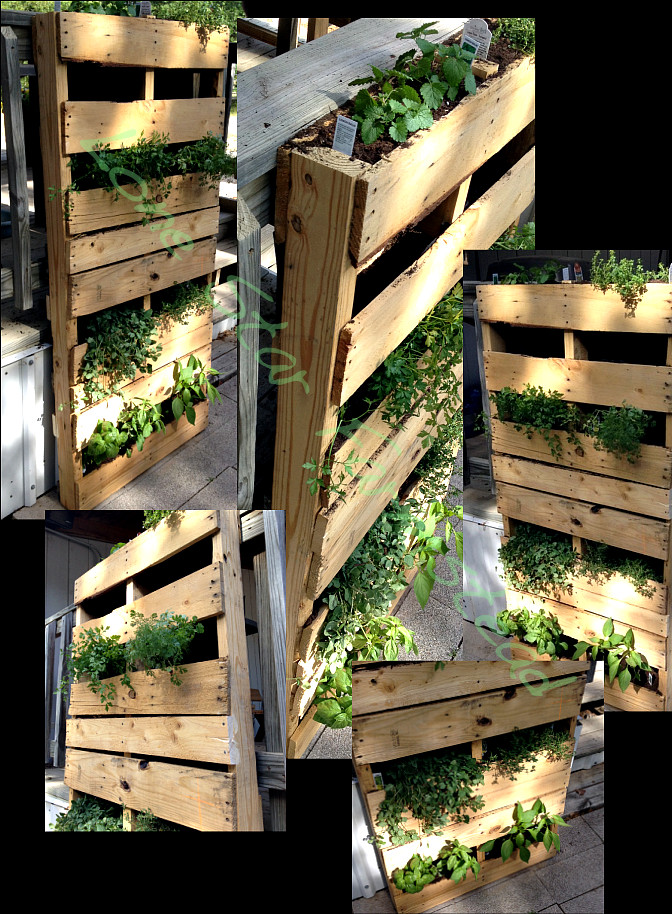 Best ideas about Palette Vertical Garden
. Save or Pin Vertical Pallet Garden Now.