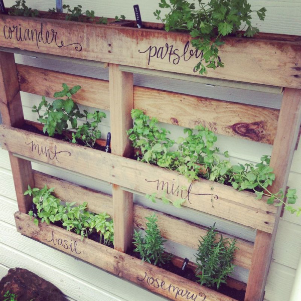Best ideas about Pallet Garden Ideas
. Save or Pin 43 Gorgeous DIY Pallet Garden Ideas to Upcycle Your Wooden Now.
