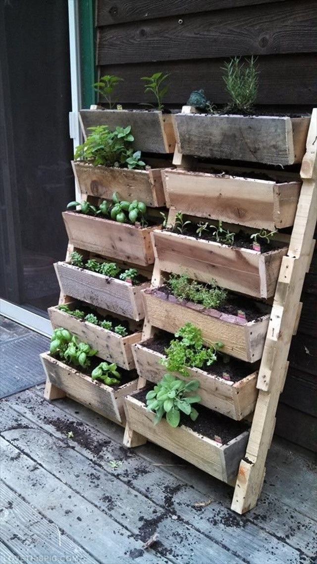 Best ideas about Pallet Vertical Garden
. Save or Pin 8 Revamp Pallet Ideas for Outdoors Now.