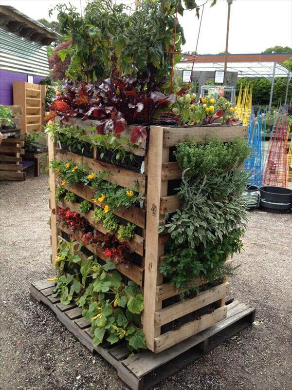 Best ideas about Pallet Vertical Garden
. Save or Pin DIY Pallet Gardens 20 Creative Ways to Use Pallets Now.