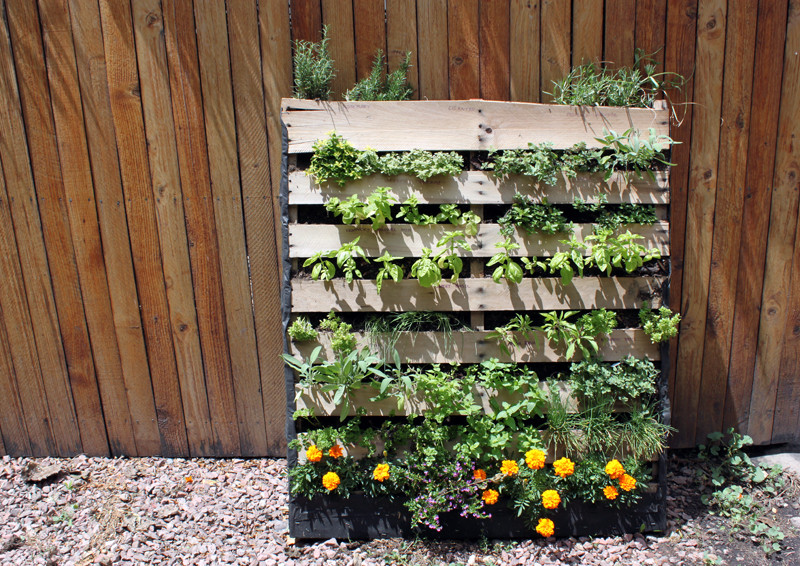 Best ideas about Pallet Vertical Garden
. Save or Pin DIY Inspiration The Vertical Herb Garden Now.