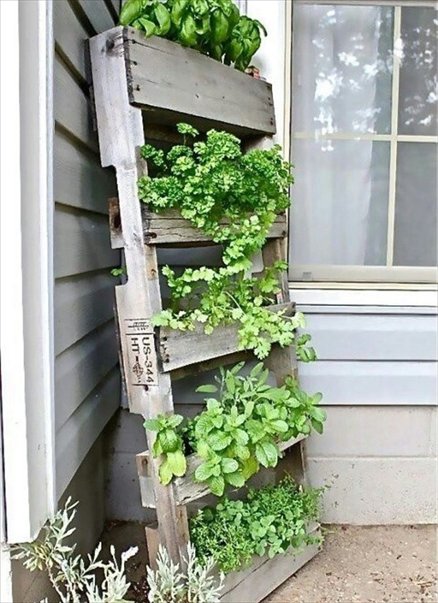 Best ideas about Pallet Vertical Garden
. Save or Pin Garden Styling with Pallet Vertical Planter Now.