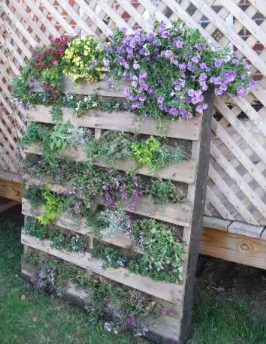 Best ideas about Pallet Vertical Garden
. Save or Pin vertical garden Now.