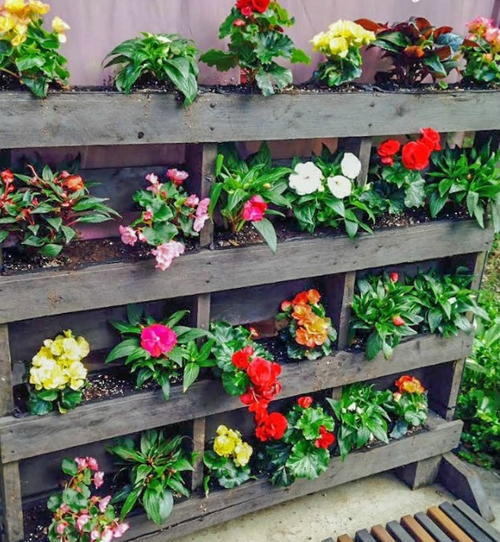 Best ideas about Pallet Vertical Garden
. Save or Pin Vertical Pallet Garden Step by Step Now.