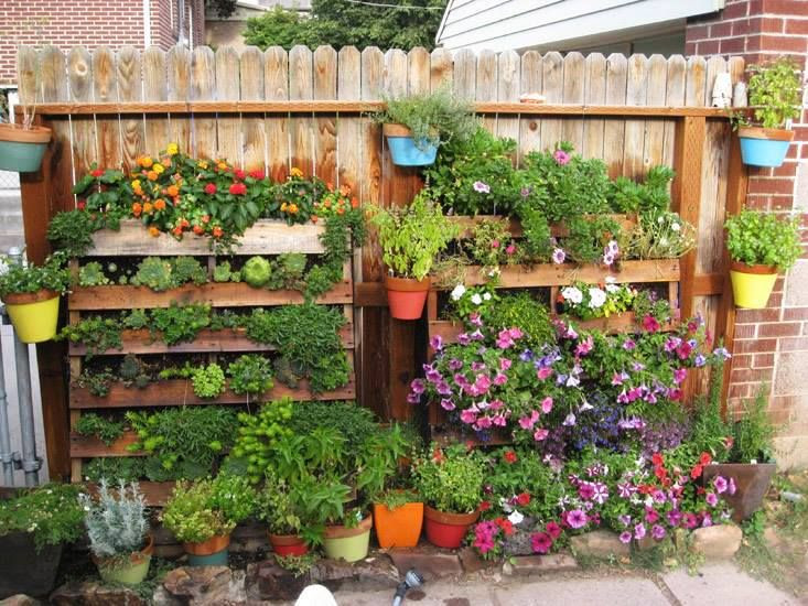 Best ideas about Pallet Vertical Garden
. Save or Pin Another simple and creative use of wooden pallets easy Now.