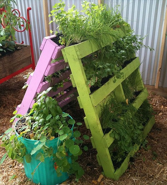 Best ideas about Pallet Vertical Garden
. Save or Pin Grow Up with 15 Creative Ideas for Vertical Gardening Now.