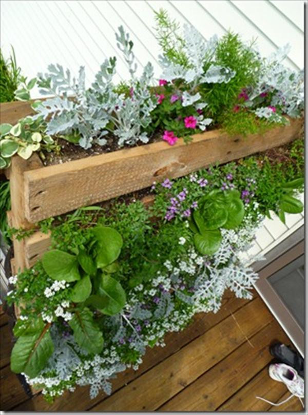 Best ideas about Pallet Vertical Garden
. Save or Pin Pallet Vertical Garden 16 Do It Yourself Ideas Now.