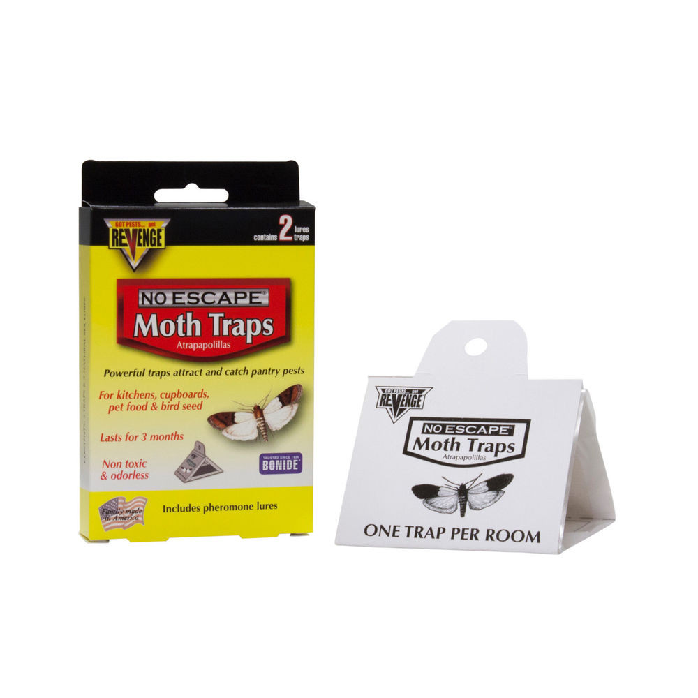 Best ideas about Pantry Moth Traps
. Save or Pin 2 Pantry Moth Bird Seed Pet Food Moth Traps Indian Meal Now.