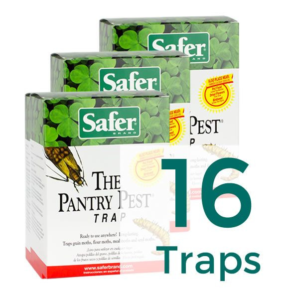 Best ideas about Pantry Moth Traps
. Save or Pin The Pantry Pest Pantry Moth Trap 16 Traps Now.