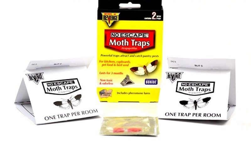 Best ideas about Pantry Moth Traps
. Save or Pin Pantry Moth Bird Seed Moth Pet Food Moth Traps 24 Traps Now.