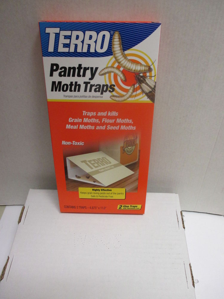 Best ideas about Pantry Moth Traps
. Save or Pin Pantry Moth Traps 1 2pk Grain Flour Meal and Seed Now.