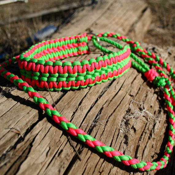 Best ideas about Paracord Dog Collar DIY
. Save or Pin Agility Paracord Dog Collar Leash bo Parallel Cobra Weave Now.