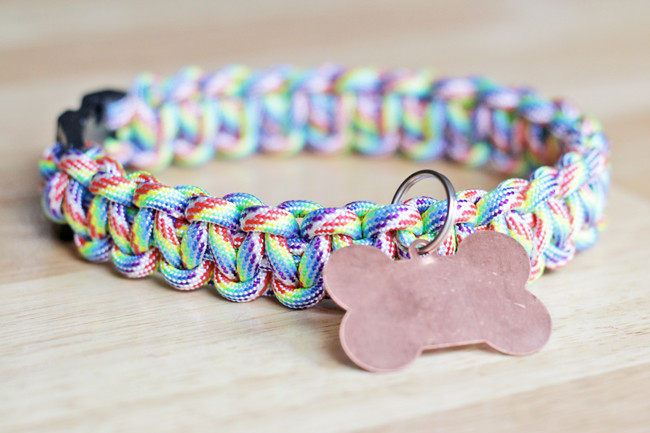 Best ideas about Paracord Dog Collar DIY
. Save or Pin 10 Easy DIY Dog Collars To Jazz Up Your Pup s Summer Now.