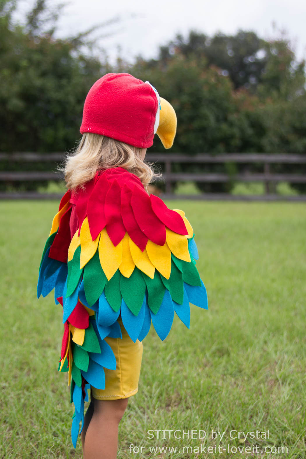 Best ideas about Parrot Costume DIY
. Save or Pin Parrot Costume DIY How to Make a Homemade Parrot Costume Now.