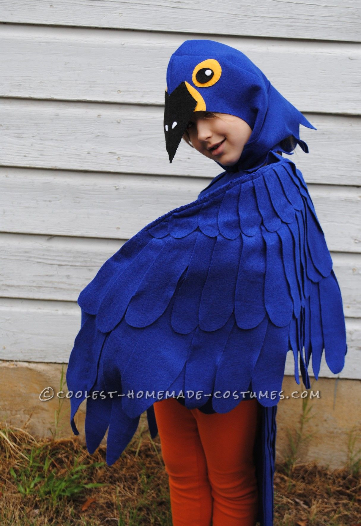 Best ideas about Parrot Costume DIY
. Save or Pin Coolest Blue Macaw Parrot Costume Now.