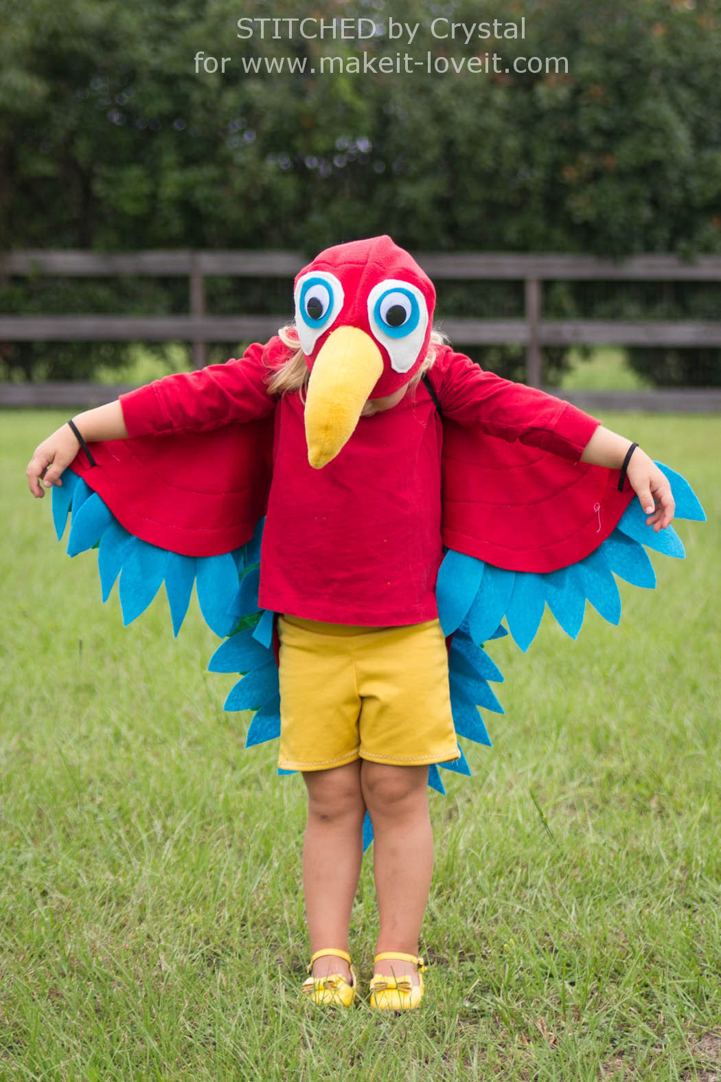 Best ideas about Parrot Costume DIY
. Save or Pin Sew an Easy Parrot Costume Now.