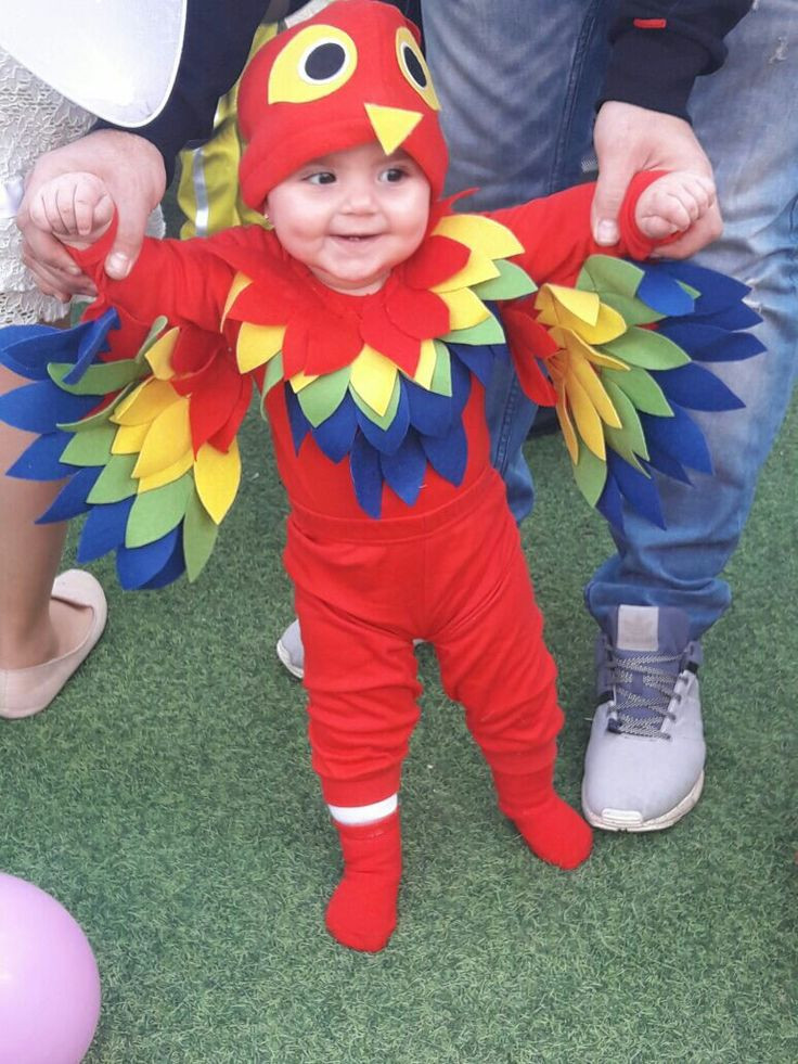 Best ideas about Parrot Costume DIY
. Save or Pin 13 best Baby s First Holiday images on Pinterest Now.