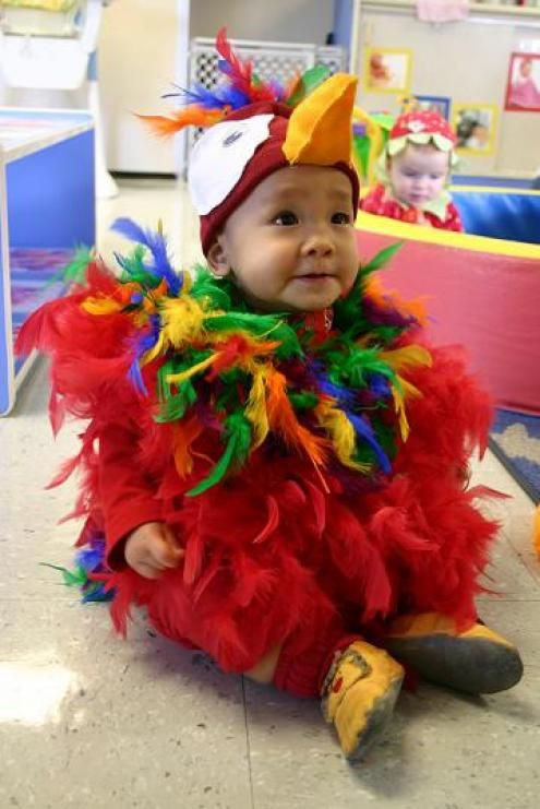 Best ideas about Parrot Costume DIY
. Save or Pin super crafty Halloween costumes — Updated Now.