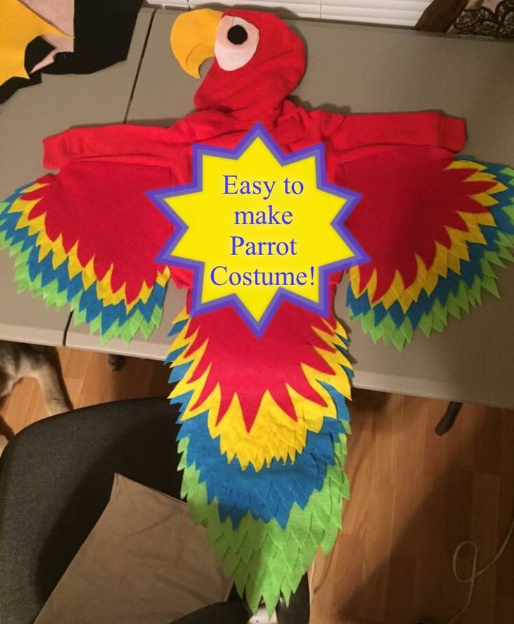 Best ideas about Parrot Costume DIY
. Save or Pin Best 25 Parrot costume ideas on Pinterest Now.