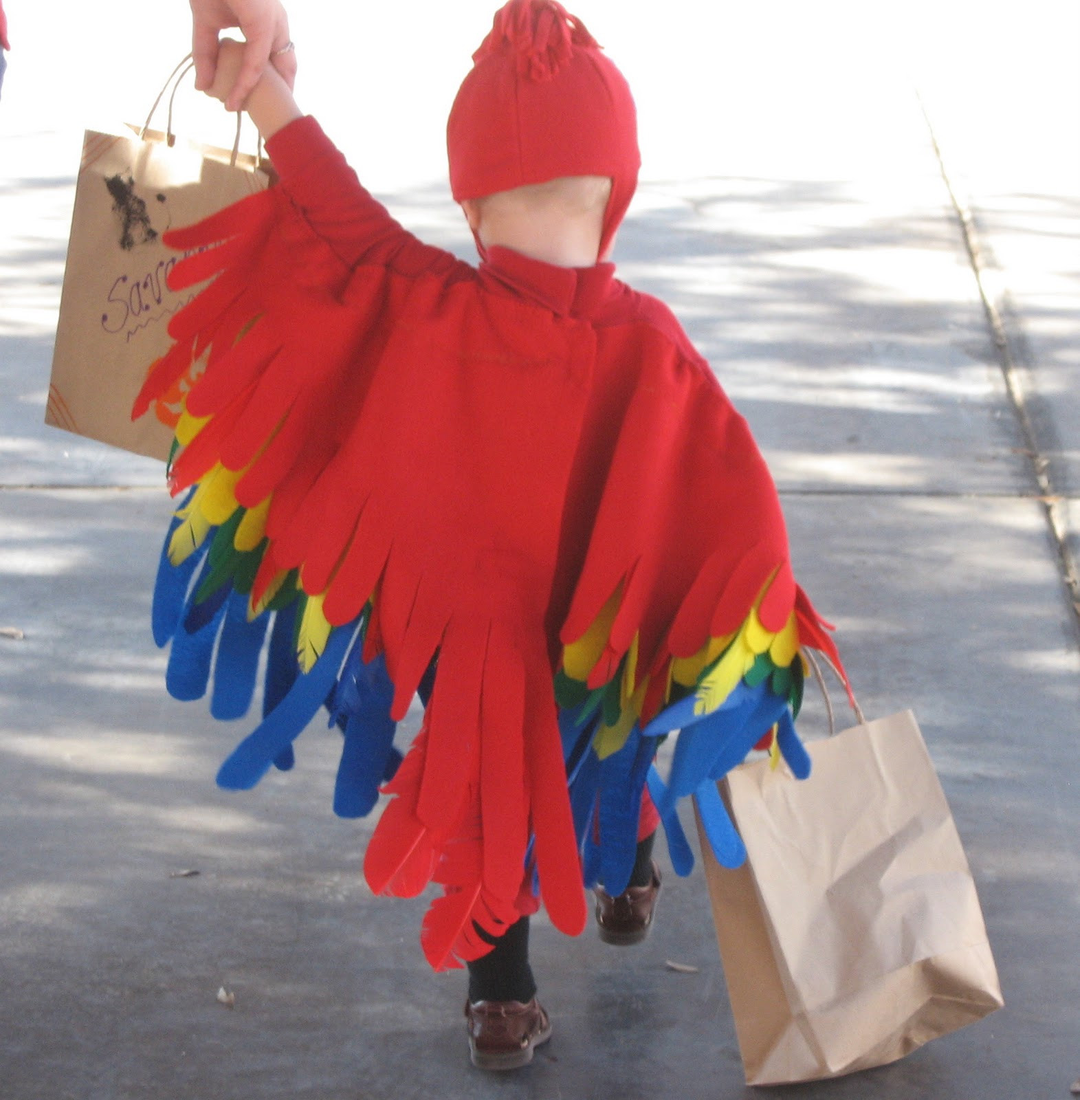 Best ideas about Parrot Costume DIY
. Save or Pin Homemade Parrot Costume Now.