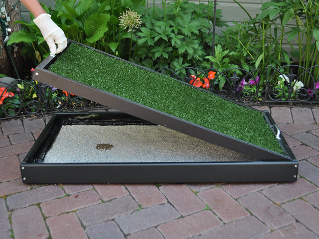 Best ideas about Patio Dog Potty DIY
. Save or Pin Pet Patio Potty FAQ Doggy Solutions Now.