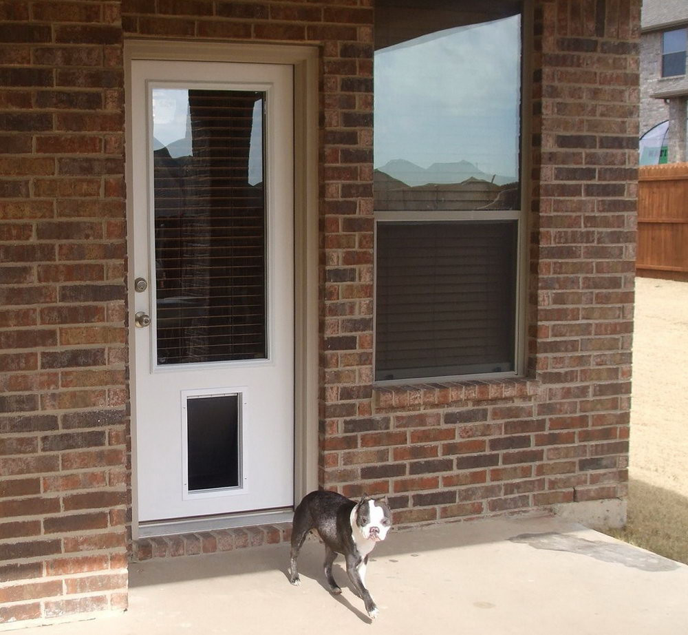 Best ideas about Patio Door With Pet Door Built In
. Save or Pin French Doors With Dog Door Built In handballtunisie Now.