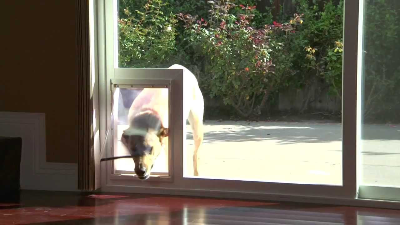 Best ideas about Patio Door With Pet Door Built In
. Save or Pin danjo patio sliding door with built in pet access they Now.