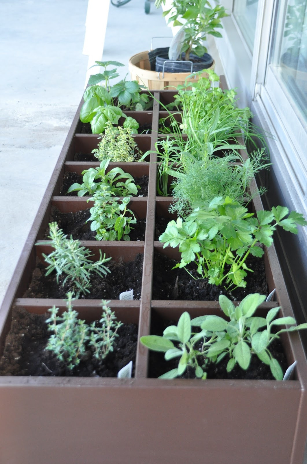 Best ideas about Patio Herb Garden
. Save or Pin Craftionary Now.