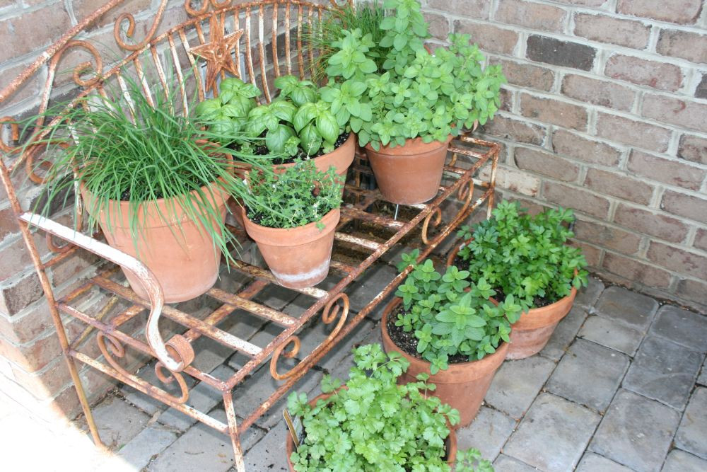 Best ideas about Patio Herb Garden
. Save or Pin Container Herb Garden – DIY Projects – Fresh Herb Recipes Now.