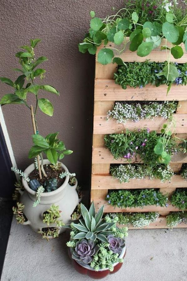 Best ideas about Patio Herb Garden
. Save or Pin Beautiful Herb Garden Design Ideas Now.